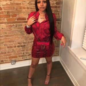 Red Snakeskin Blouse & Red Snakeskin Mink Skirt